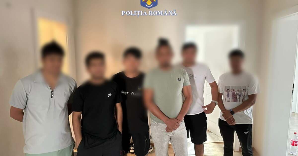 Perchezitii la firme si pensiuni ale migrantiilor din Timisoara.